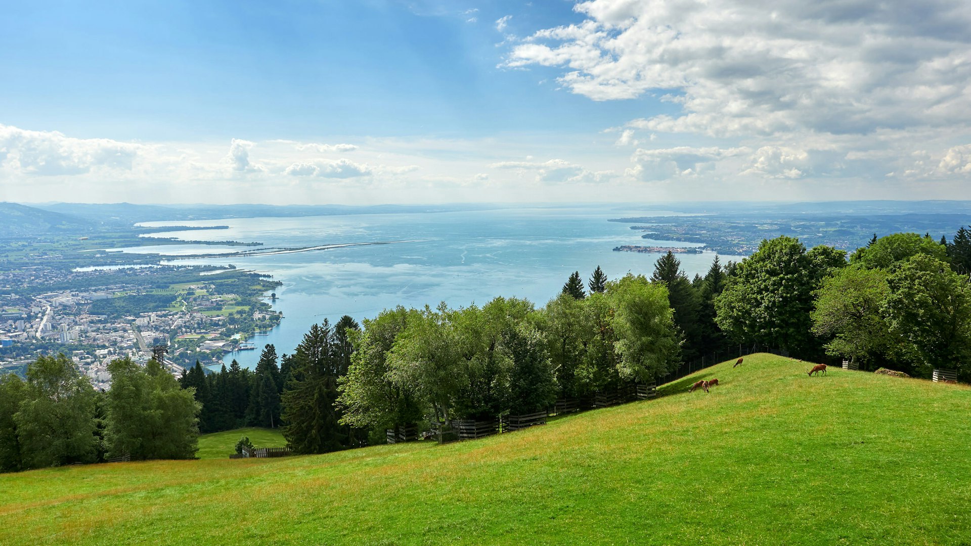 bodensee 01 guettingen panorama