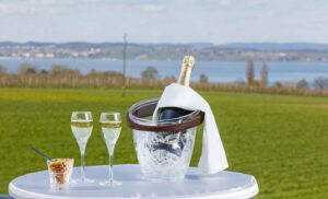 deluxe double room panorama lake view 6 2800x1696